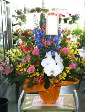 令和元年！　新元号おめでとうございます｜「まるそう」　（北海道札幌市豊平区の花キューピット加盟店 花屋）のブログ