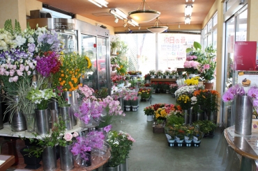 「まるそう」　（北海道札幌市豊平区）の花屋店舗写真2